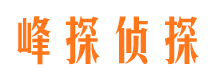 麟游市私家侦探